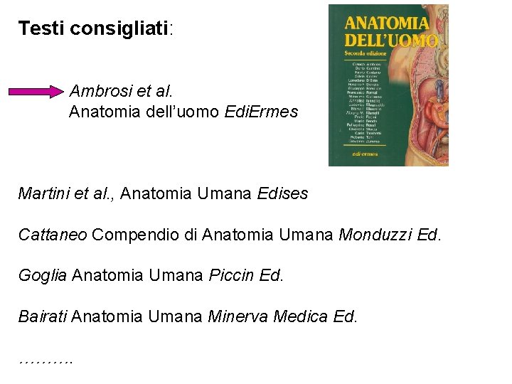 Testi consigliati: Ambrosi et al. Anatomia dell’uomo Edi. Ermes Martini et al. , Anatomia