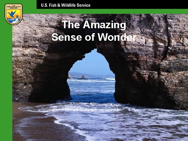 The Amazing Sense of Wonder 