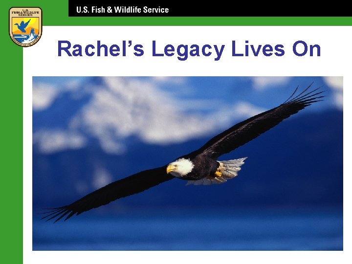 Rachel’s Legacy Lives On 