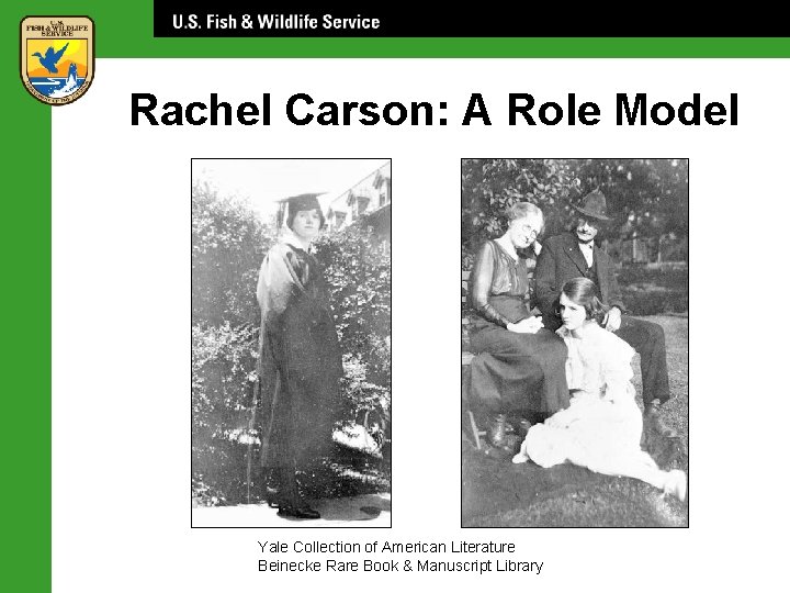 Rachel Carson: A Role Model Yale Collection of American Literature Beinecke Rare Book &