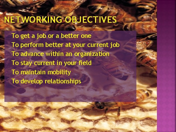 NETWORKING OBJECTIVES To To To get a job or a better one perform better