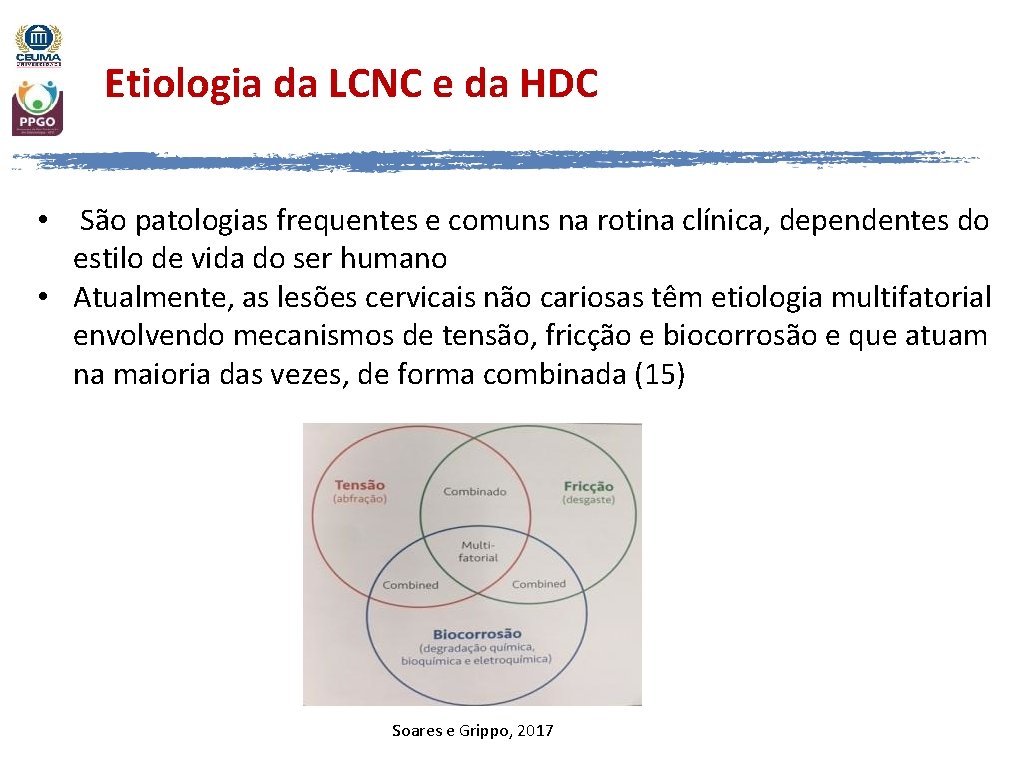Etiologia da LCNC e da HDC • São patologias frequentes e comuns na rotina