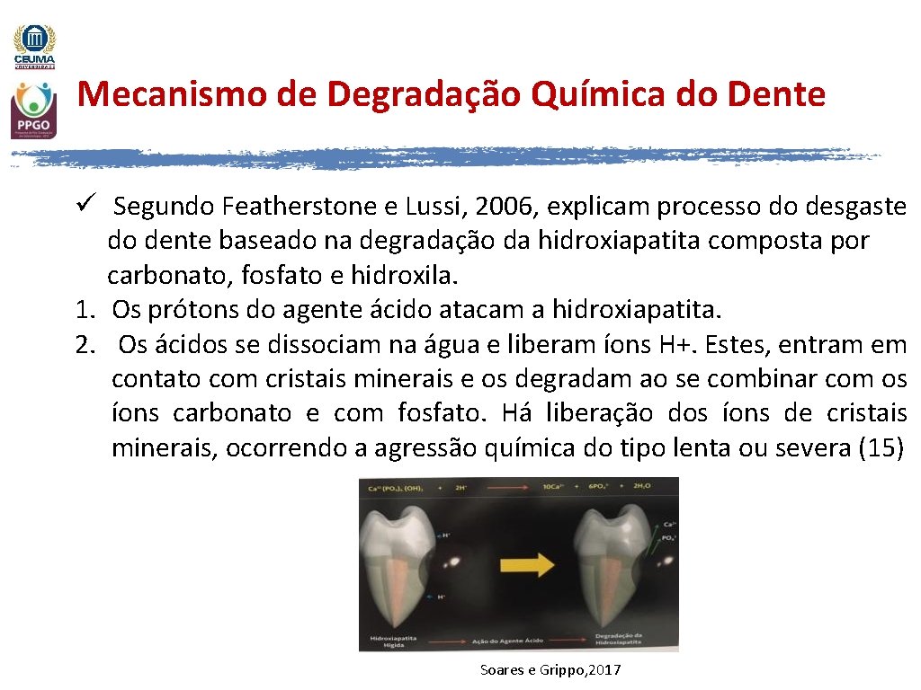 Mecanismo de Degradação Química do Dente ü Segundo Featherstone e Lussi, 2006, explicam processo