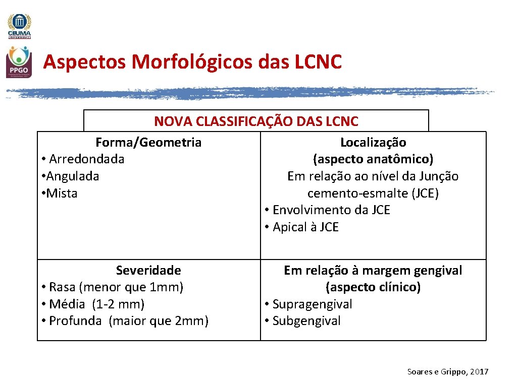 Aspectos Morfológicos das LCNC NOVA CLASSIFICAÇÃO DAS LCNC Forma/Geometria • Arredondada • Angulada •