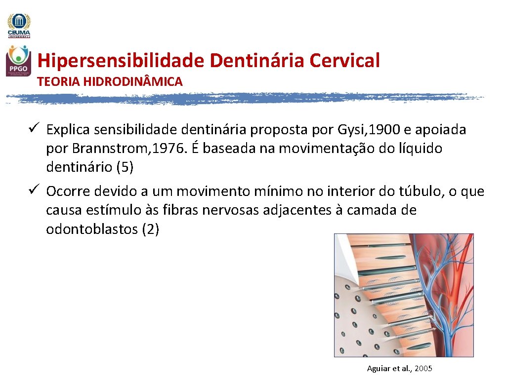 Hipersensibilidade Dentinária Cervical TEORIA HIDRODIN MICA ü Explica sensibilidade dentinária proposta por Gysi, 1900