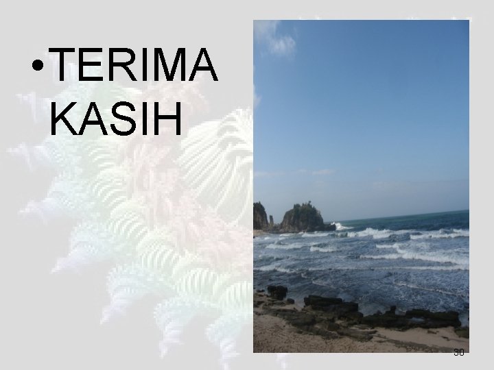  • TERIMA KASIH 30 