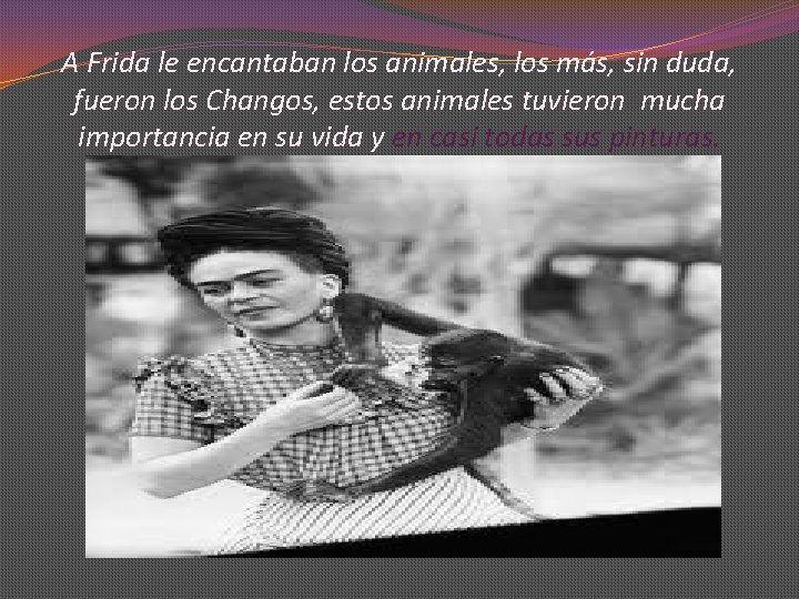A Frida le encantaban los animales, los más, sin duda, fueron los Changos, estos