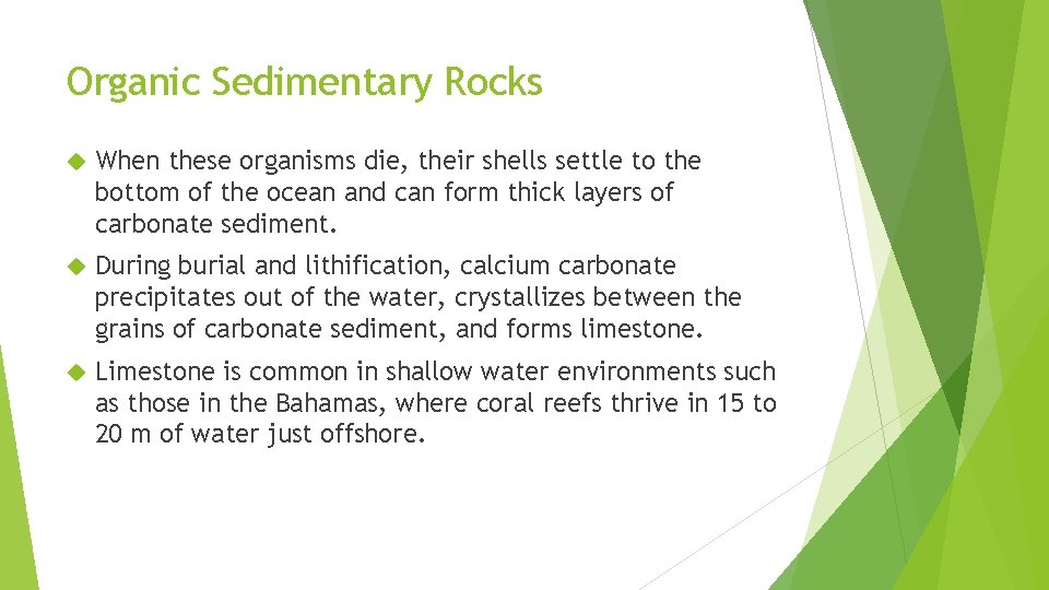 Organic Sedimentary Rocks When these organisms die, their shells settle to the bottom of