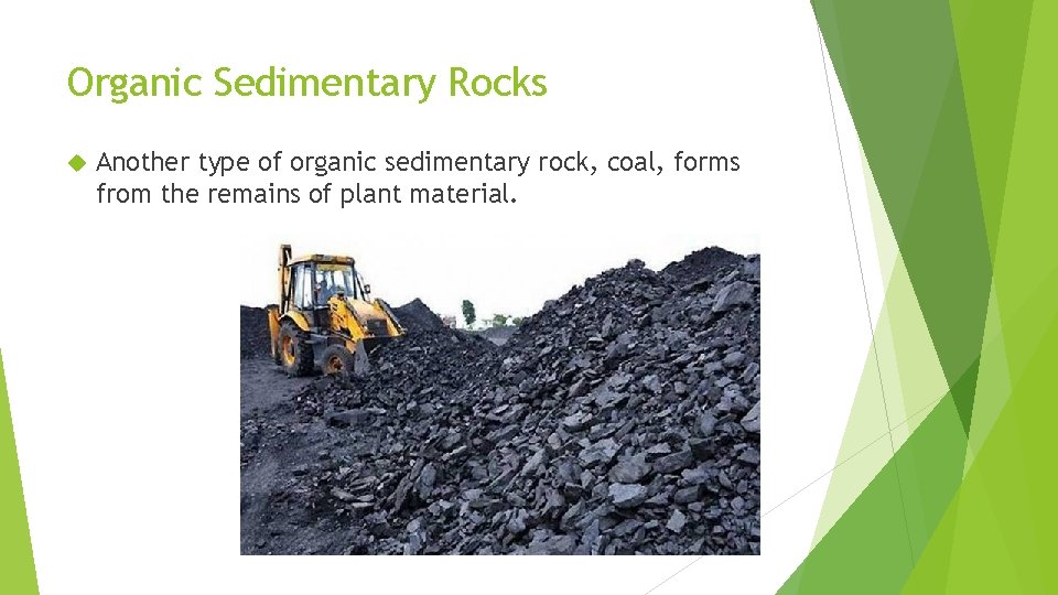 Organic Sedimentary Rocks Another type of organic sedimentary rock, coal, forms from the remains