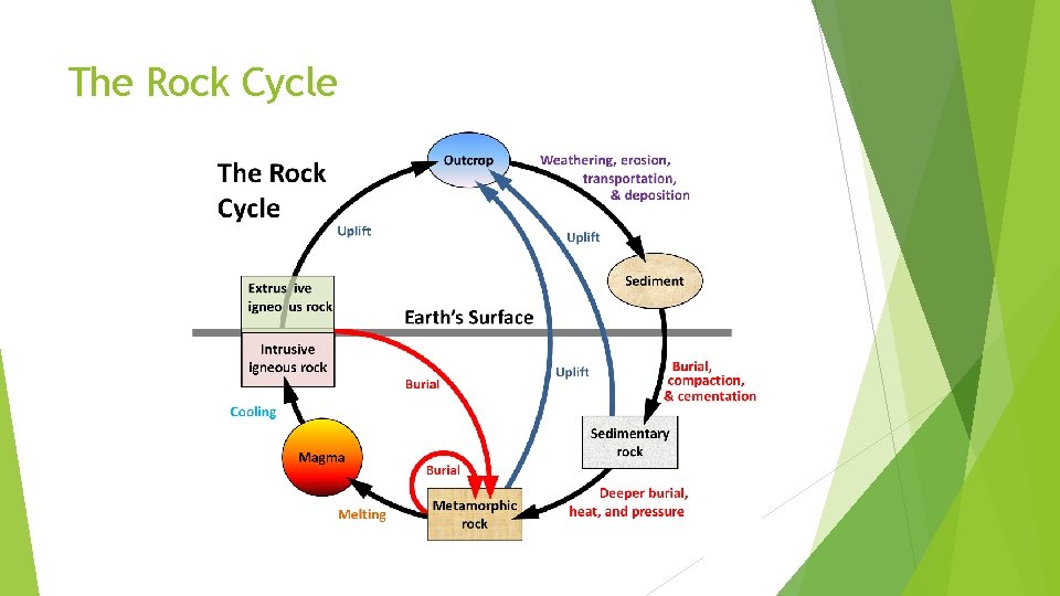 The Rock Cycle 