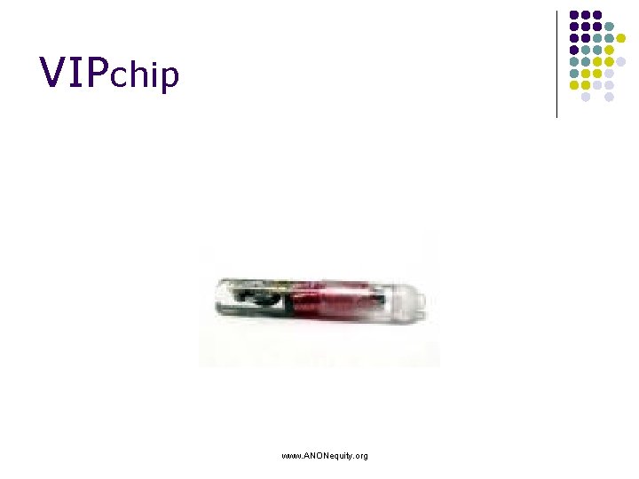 VIPchip www. ANONequity. org 