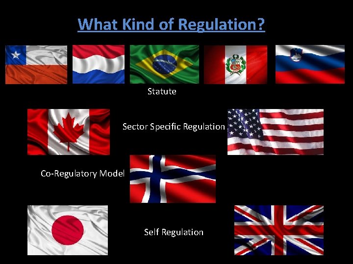 What Kind of Regulation? Statute Sector Specific Regulation Co-Regulatory Model Self Regulation 