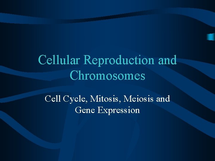 Cellular Reproduction and Chromosomes Cell Cycle, Mitosis, Meiosis and Gene Expression 