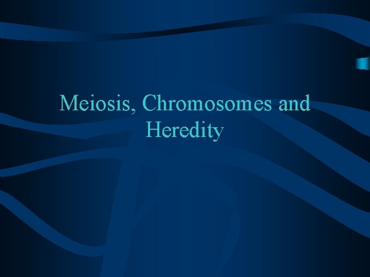 Meiosis, Chromosomes and Heredity 