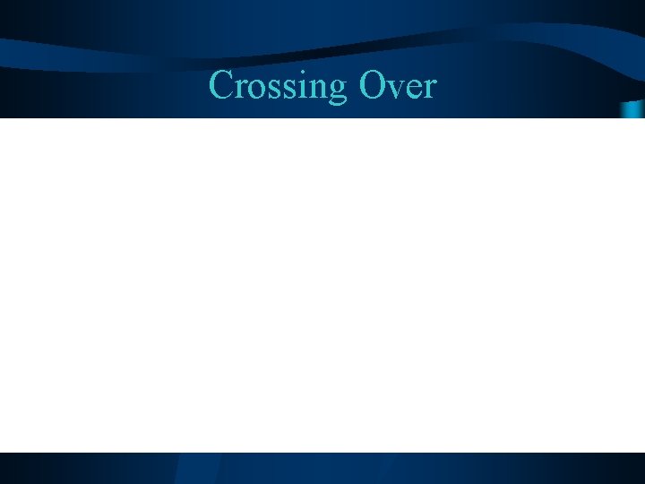 Crossing Over 