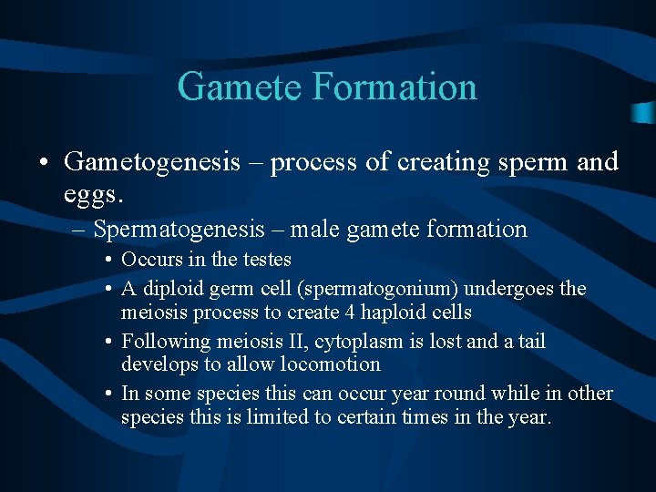 Gamete Formation • Gametogenesis – process of creating sperm and eggs. – Spermatogenesis –