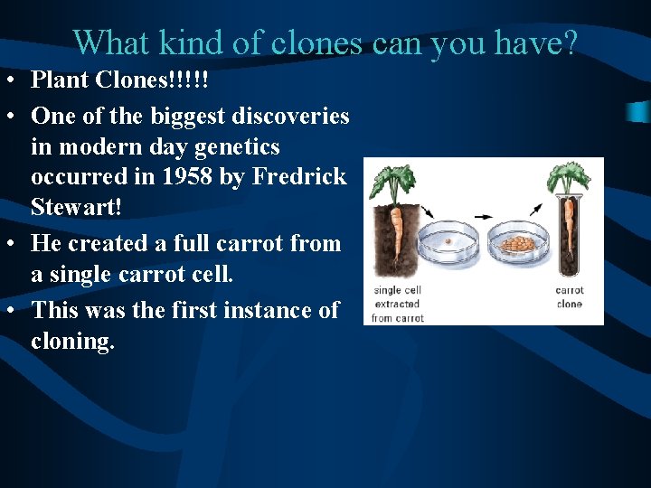 What kind of clones can you have? • Plant Clones!!!!! • One of the