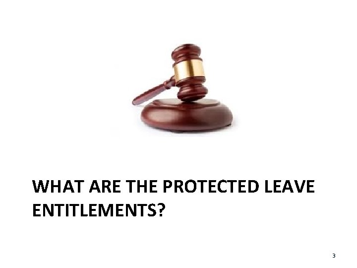 WHAT ARE THE PROTECTED LEAVE ENTITLEMENTS? 3 