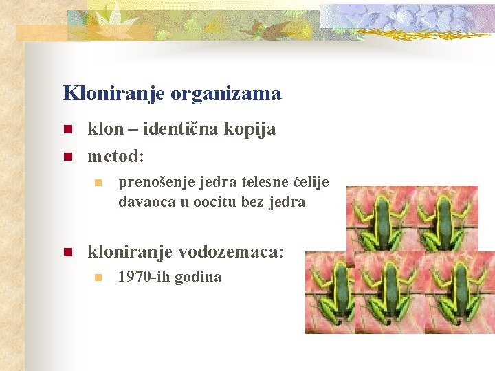 Kloniranje organizama n n klon – identična kopija metod: n n prenošenje jedra telesne