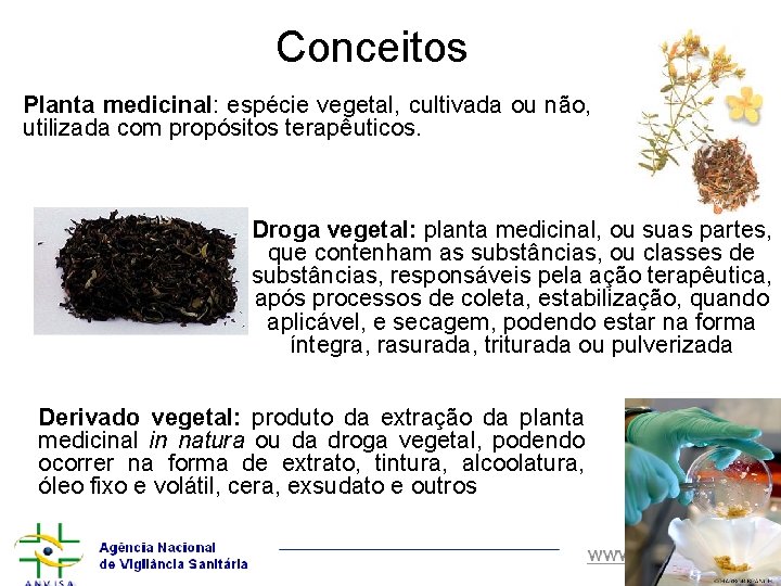 Conceitos Planta medicinal: espécie vegetal, cultivada ou não, utilizada com propósitos terapêuticos. Droga vegetal:
