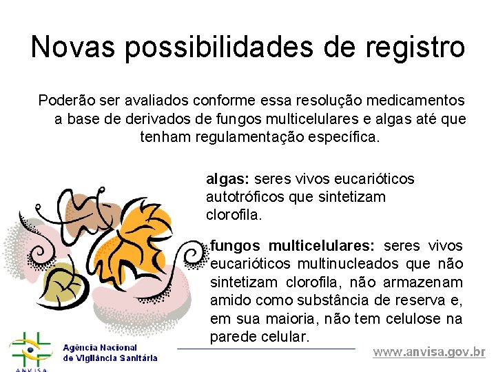 Novas possibilidades de registro Poderão ser avaliados conforme essa resolução medicamentos a base de