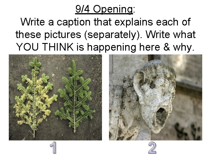 9/4 Opening: Write a caption that explains each of these pictures (separately). Write what 9/4 Opening: Write a caption that explains each of these pictures (separately). Write what