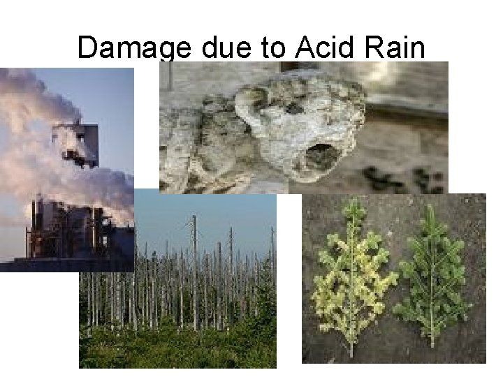 Damage due to Acid Rain Damage due to Acid Rain