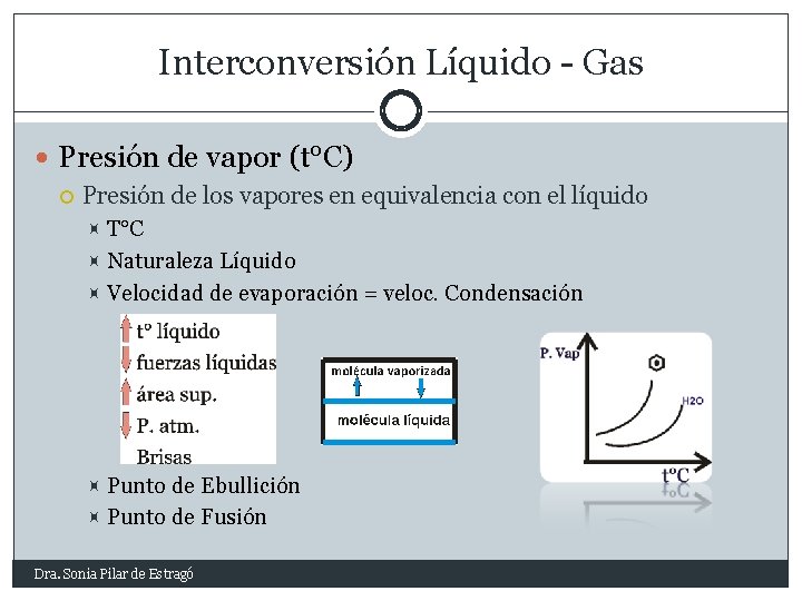 Interconversión Líquido - Gas Presión de vapor (t°C) Presión de los vapores en equivalencia