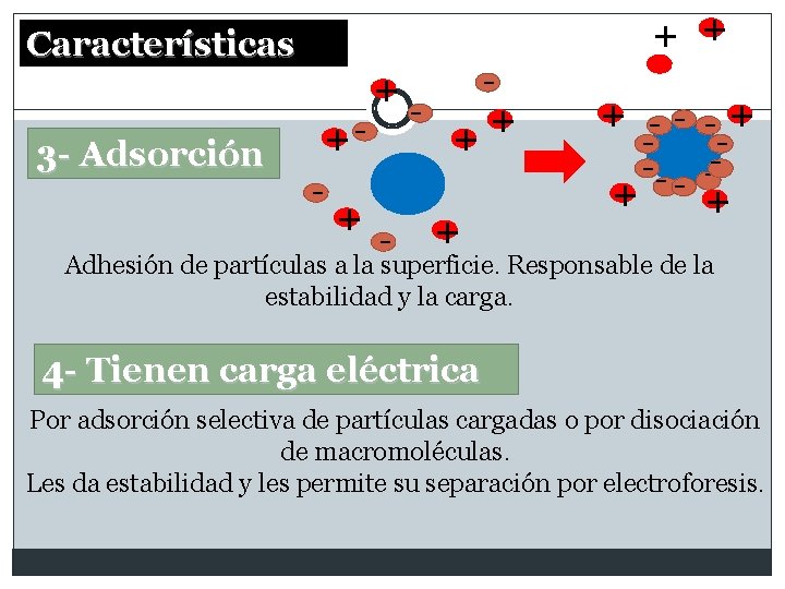 + + Características 3 - Adsorción +- + + - - - + +