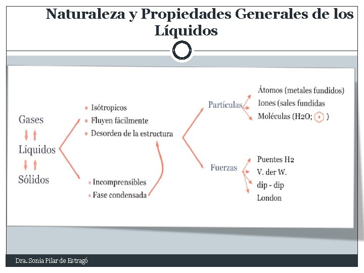 Naturaleza y Propiedades Generales de los Líquidos Dra. Sonia Pilar de Estragó 