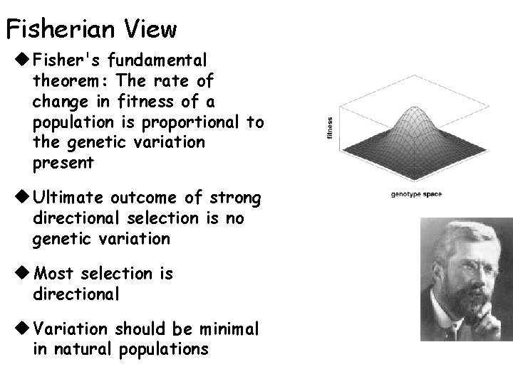 Fisherian View u Fisher's fundamental theorem: The rate of change in fitness of a