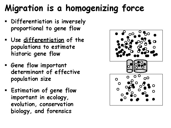 Migration is a homogenizing force § Differentiation is inversely proportional to gene flow §