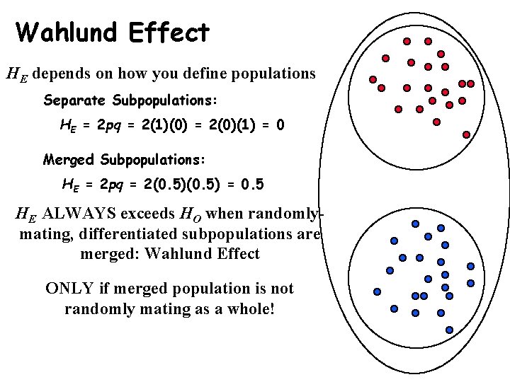 Wahlund Effect HE depends on how you define populations Separate Subpopulations: HE = 2