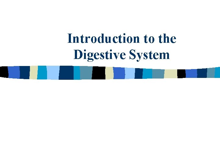 Introduction to the Digestive System 