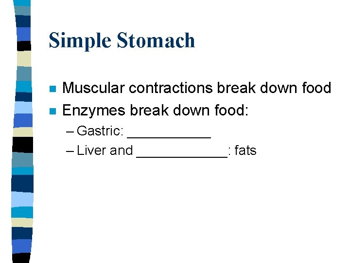 Simple Stomach n n Muscular contractions break down food Enzymes break down food: –