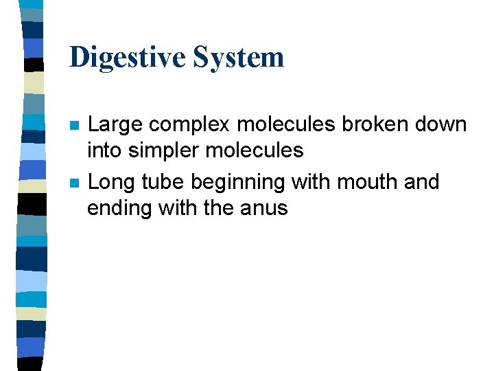 Digestive System n n Large complex molecules broken down into simpler molecules Long tube