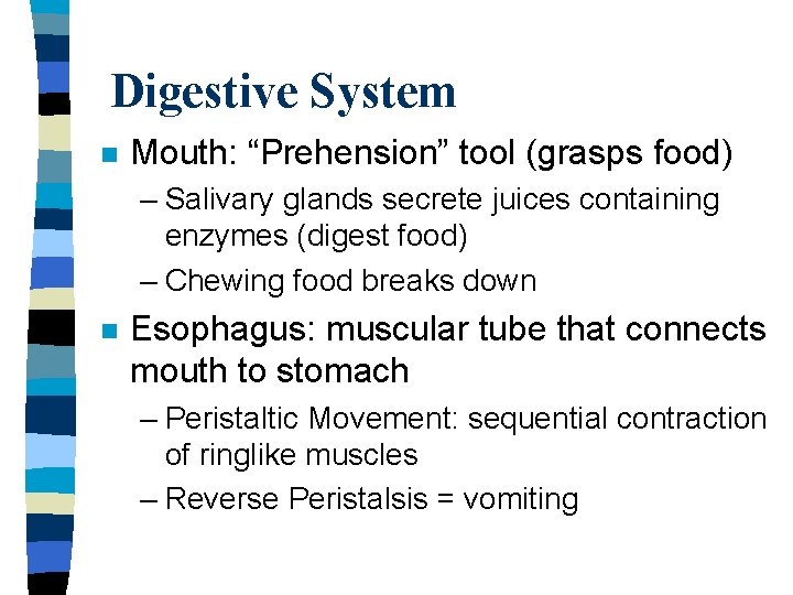 Digestive System n Mouth: “Prehension” tool (grasps food) – Salivary glands secrete juices containing