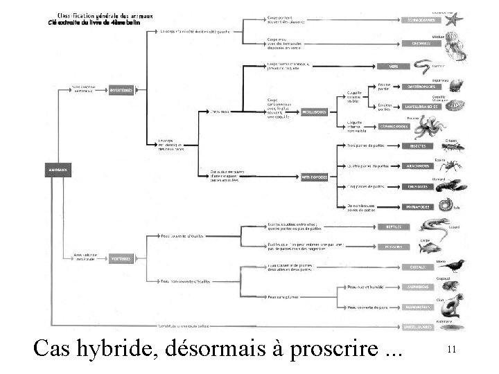 Cas hybride, désormais à proscrire. . . 11 