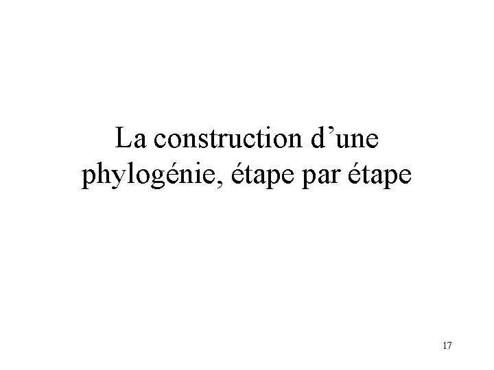 La construction d’une phylogénie, étape par étape 17 