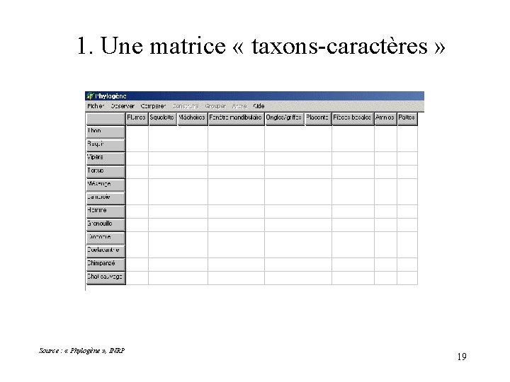 1. Une matrice « taxons-caractères » Source : « Phylogène » , INRP 19
