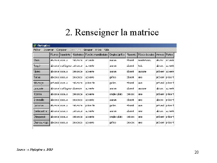 2. Renseigner la matrice Source : « Phylogène » , INRP 20 