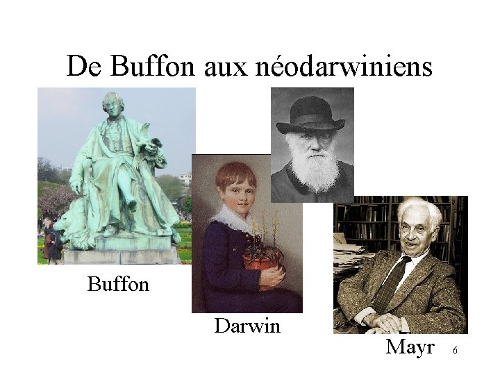 De Buffon aux néodarwiniens Buffon Darwin Mayr 6 