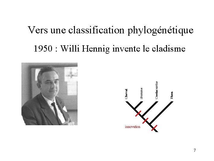 Vers une classification phylogénétique 1950 : Willi Hennig invente le cladisme innovation 7 