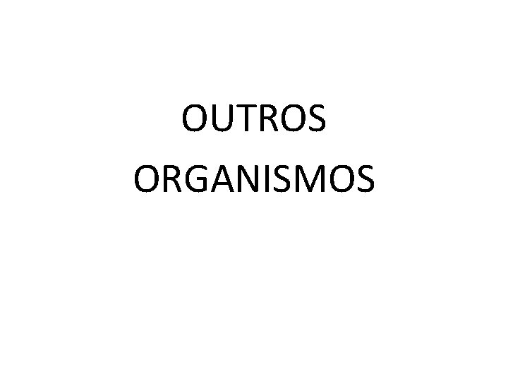 OUTROS ORGANISMOS 