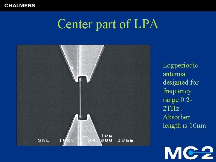 Center part of LPA Logperiodic antenna designed for frequency range 0. 22 THz. Absorber