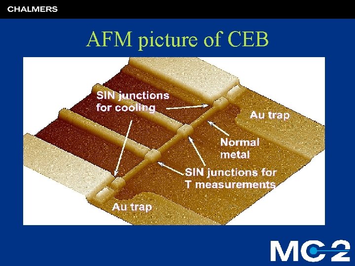 AFM picture of CEB 