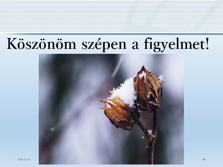 Köszönöm szépen a figyelmet! 2018. 11. 13. 49 