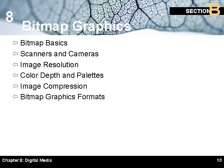 8 B SECTION Bitmap Graphics ï Bitmap Basics ï Scanners and Cameras ï Image 8 B SECTION Bitmap Graphics ï Bitmap Basics ï Scanners and Cameras ï Image