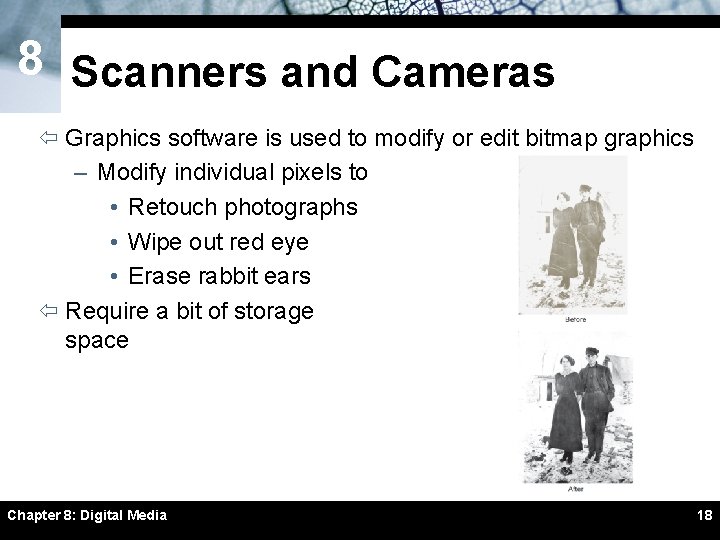 8 Scanners and Cameras ï Graphics software is used to modify or edit bitmap 8 Scanners and Cameras ï Graphics software is used to modify or edit bitmap