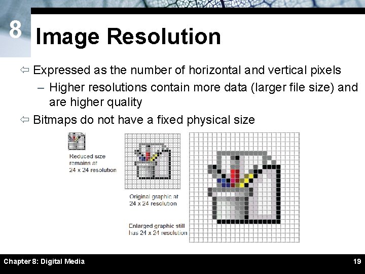 8 Image Resolution ï Expressed as the number of horizontal and vertical pixels – 8 Image Resolution ï Expressed as the number of horizontal and vertical pixels –